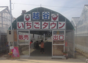 苺タウン